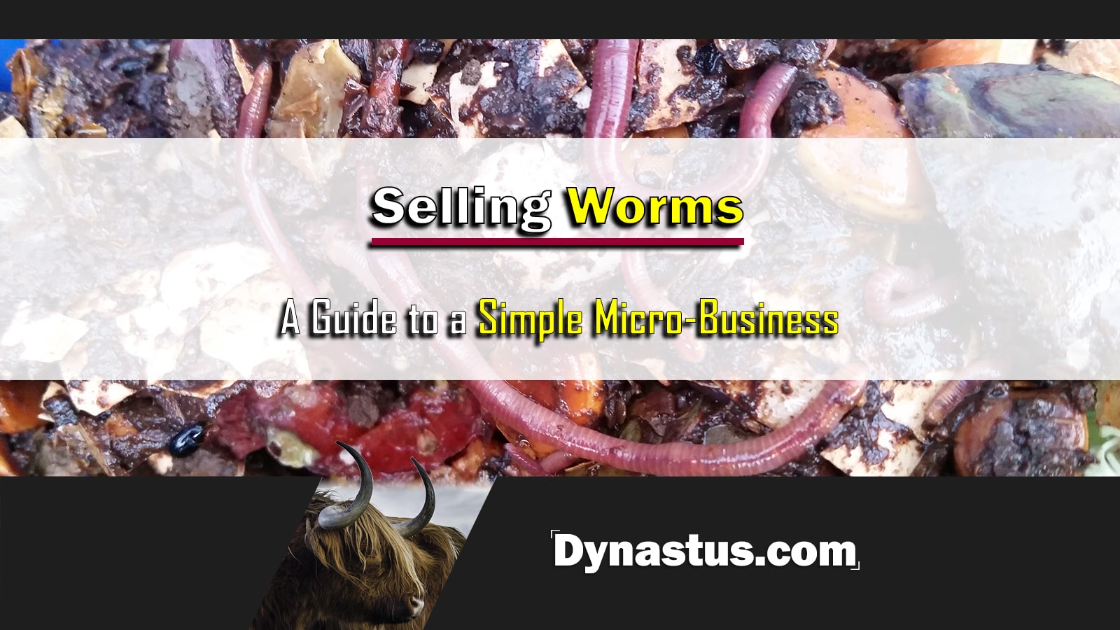 Selling Worms For Profit A Simple Micro Business Dynastus