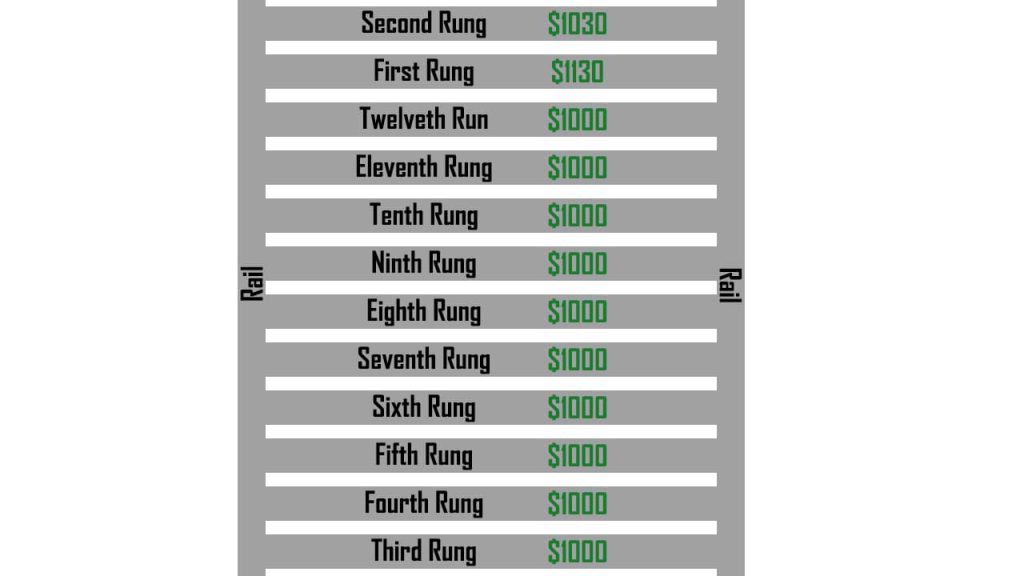 Emergency Ladder Fund 14th Month